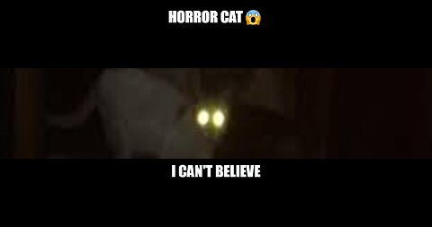 Horror Cat 😱 !!!