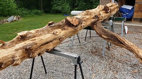 How do you flip a 600lb Red cedar tree? Incredible Red Cedar log DIY project EP #3