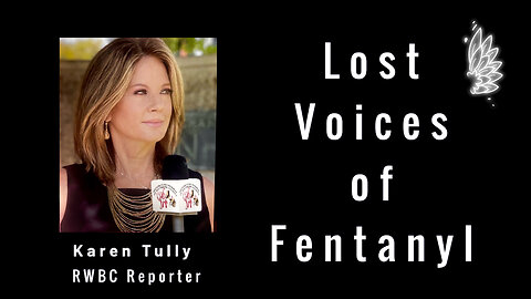 Lost Voices of Fentanyl Summary/ Karen Tully