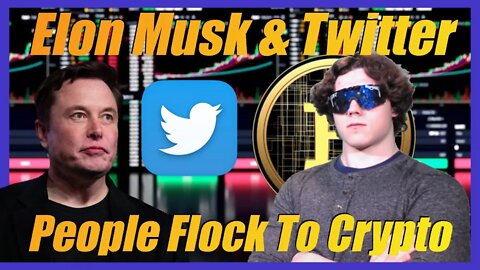 🔴 Elon Musk Buys Portion Of Twitter! People Flocking To Bitcoin & Crypto! - Crypto News Today