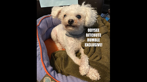 Rumble/Odysee/Bitchute Exclusive Hot Take: Feb 17th 2024 News Blast!