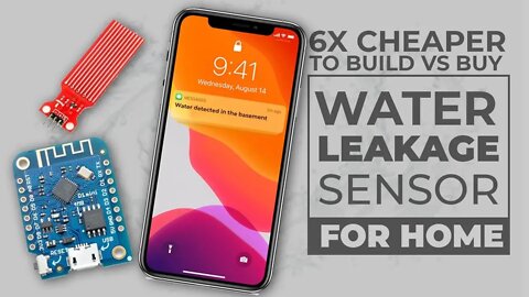 Water Leak Detector - Complete Guide - DIY