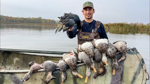 Public Land Duck Hunting! (COOT Catch Clean Cook)