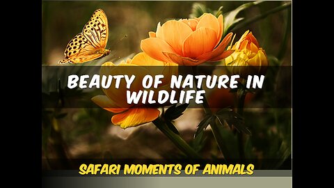 Captivating Wildlife Moments: A Mesmerizing Journey Through Nature's Beauty