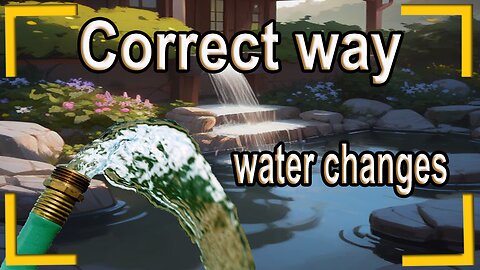 The correct way to do water changes