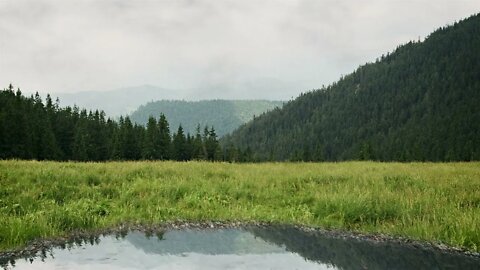 Rainfall on a small lake in a grassy mountain field, relaxing sound of nature to help you sleep