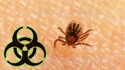 1960’s Government Bioweapons - Labs injecting Ticks with exotic diseases