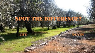 The Difference Between Life and Death