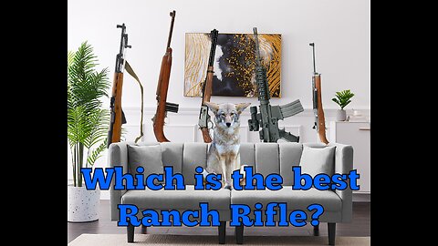 Which is the Best Ranch Rifle?