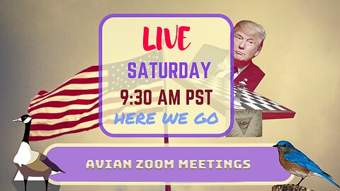 Saturday *LIVE* Avian Zoom Meetings Edition
