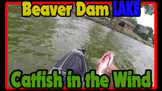 Wind, Waves, and Catfish while Kayak Fishing with the Native Slayer Max 12.5 on Beaver Dam Lake