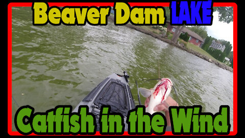 Wind, Waves, and Catfish while Kayak Fishing with the Native Slayer Max 12.5 on Beaver Dam Lake
