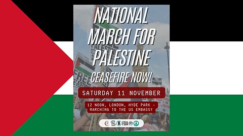 National March For Palestine London 11th November 2023