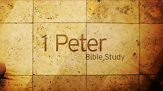 Insite Live: Bible Study