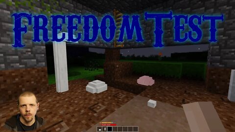 FreedomTest (Anarchy Server) 01