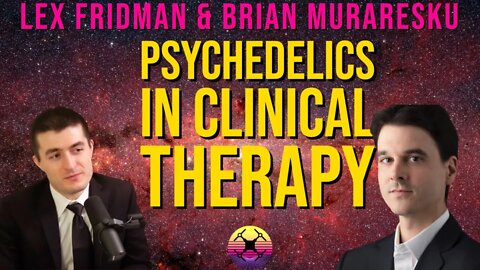 Psychedelics in Clinical Therapy - Lex Fridman and Brian Muraresku