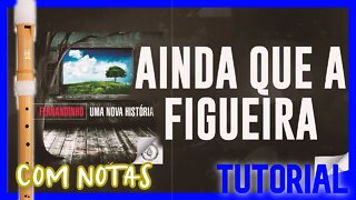 AINDA QUE A FIGUEIRA - FERNANDINHO - Tutorial com notas na tela flauta doce flauta transversal