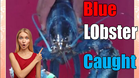 The Time a Blue Lobster was caught Off The Coast Of Maine