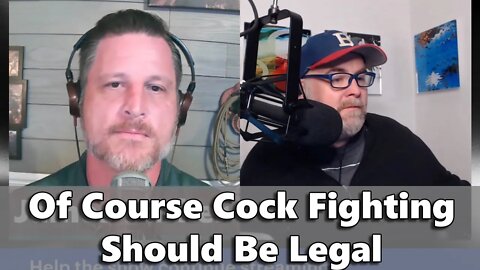 Of Course Cock Fighting Should Be Legal