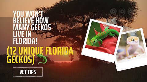 You Won't Believe How Many Geckos Live in Florida! (12 Unique Florida Geckos) 🦎