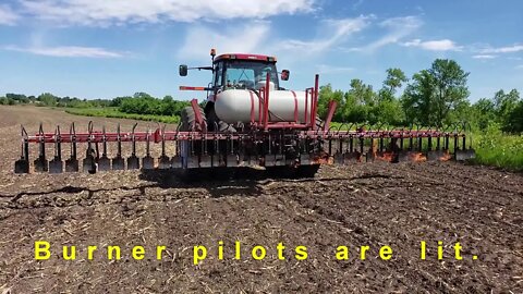 Organic Weed Control Farming