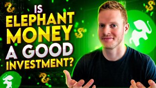AMA With Bankteller About the Future of Elephant Money