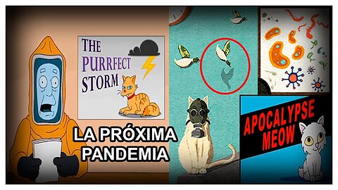 LE PREVISIONI NEI CARTONI ANIMATI DEI SIMPSON CHE POTREBBERO VERIFICARSI NEL 2023.L'INFLUENZA AVIARIA H5N1 CHE SI DIFFONDERà DAI GATTI? APOCALYPSE MEOW e LE FUSA PERFETTE SONO TITOLI CHE DICONO TUTTO