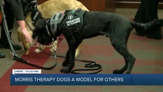 Morris Therapy Dogs A Model For Others