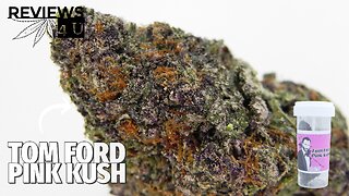 Tom Ford Pink Kush Strain Review | THC REVIEWS 4 U