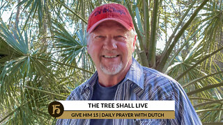 THE TREE SHALL LIVE | Give Him 15: Daily Prayer with Dutch | February 10, 2022