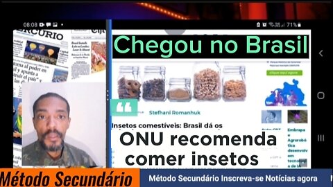 ONU RECOMENDA COMER INSETOS