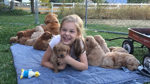 Little girl swarmed by litter of puppies