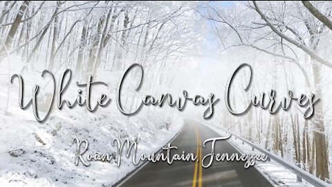White Canvas Curves - Roan Mountain, TN