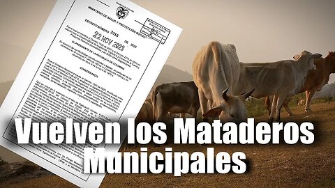 🛑🎥Exigente reglamentación para reapertura de las plantas de beneficio animal municipales 👇👇