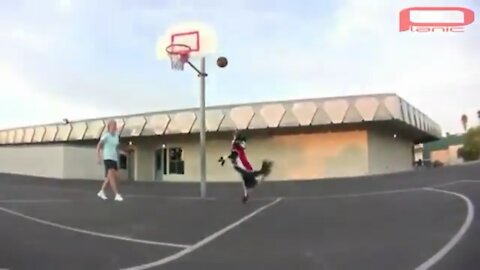 A dog playing basketball in a professional way♥️