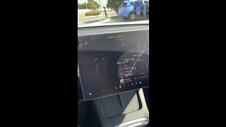 Tesla reverse cameras DONT WORK!