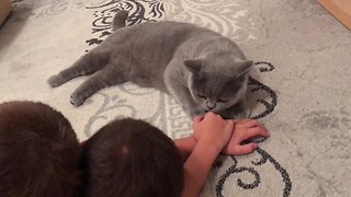 Sweet Kitty Consoles Crying Kid