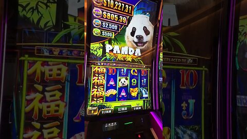 Tickle The Panda For A Massive Win #slots #casino #gaming