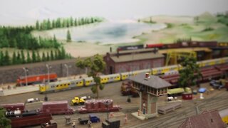 SOUTH AFRICA- Durban- Model train collectors (D8E)