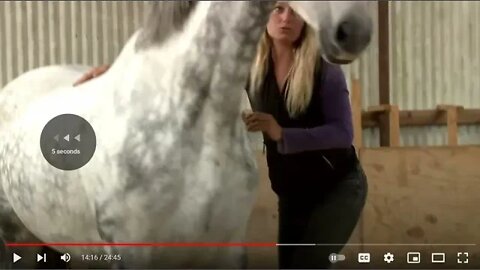 Part 3 of 3 - Evaluation Of Mia Lykke Nielsen Training Dutch Show Jumper