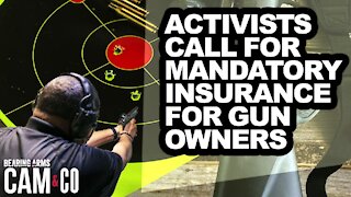 Activists call for mandatory insurance for gun owners