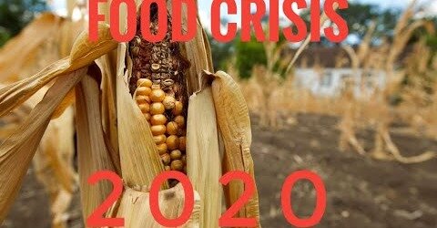 Food Crisis: The Coming Disaster