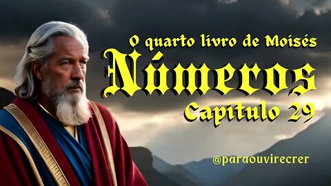 Números 29 Bíblia Sagrada #133 Com legenda @paraouvirecrer Resumo do capítulo na descrição.