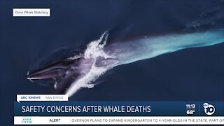 San Diegans concerned after whale deaths