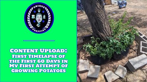 Content Upload: First Timelapse of the First 60 Days in my First Attempt of Growing Potatoes