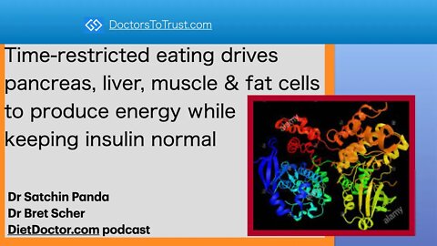 DietDoctor3: Time-restricted eating: pancreas, liver, muscle, fat produce energy; keeps insulin low