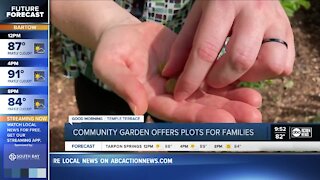 Temple Terrace Community Gardens provides place for families to grow their own vegetables
