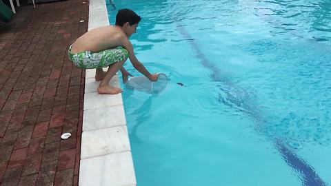 A Young Boy Scoops Up A Dead Mouse From A Pool And Runs Away Screaming