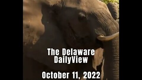 Our Nations Demand for Energy. Delaware DailyViews: October 11th, 2022