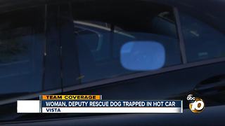 Woman, deputy rescue dog from hot car